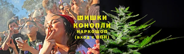 сатива Горнозаводск