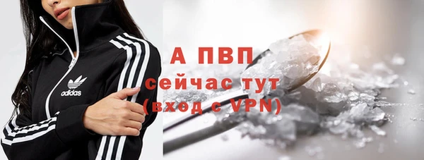 сатива Горнозаводск