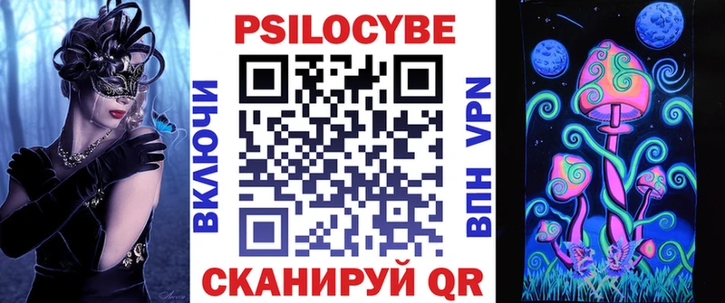 Псилоцибиновые грибы Cubensis  Черкесск 