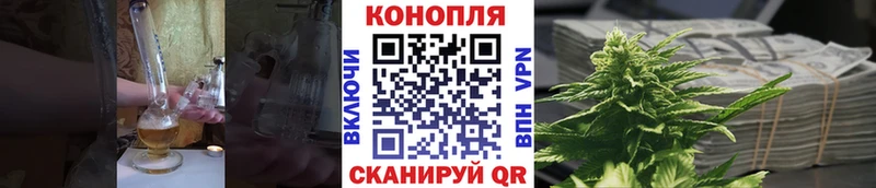 Бошки марихуана планчик  Черкесск 